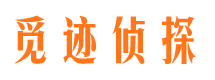 平安市侦探公司